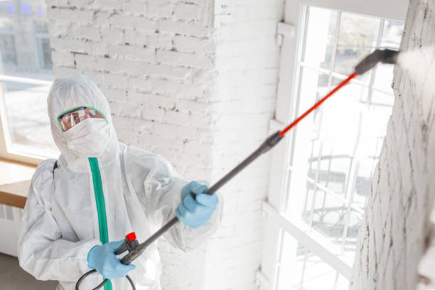 Environmental Consulting for Mold Prevention in Pacolet, SC