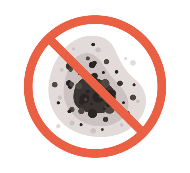 Best Mold Documentation for Insurance Claims  in Pacolet, SC