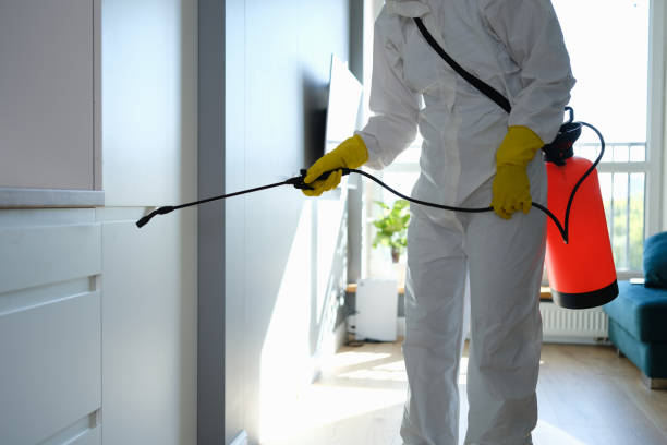 Best Crawl Space Mold Remediation  in Pacolet, SC