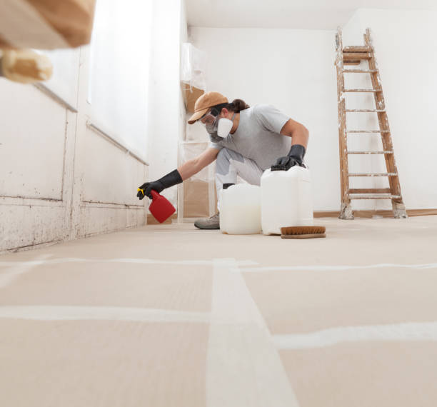 Trusted Pacolet, SC Mold Removal Experts